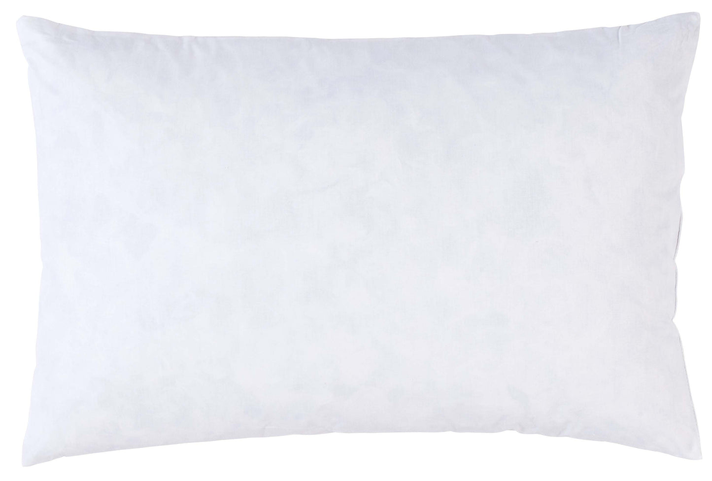 Interieur de coussin Plumes Blanc 60 x 40