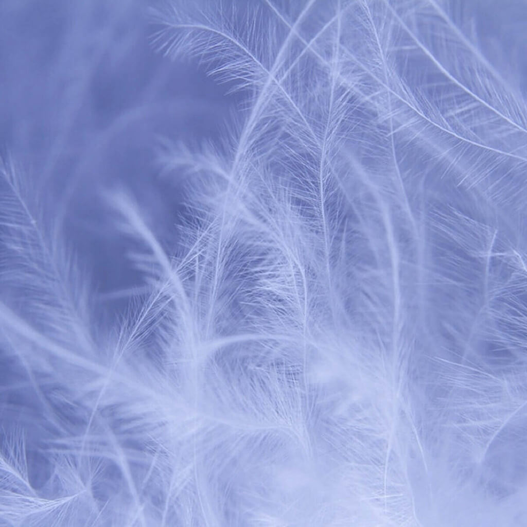 Couette HIVER canard, Taille couette: 200x200 cm