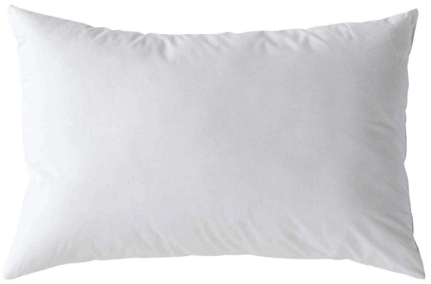 Interieur de coussin Polyester Blanc 50 x 30