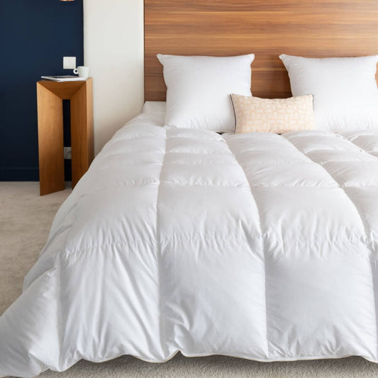 Couette king size HIVER canard, Taille couette: 280x240 cm