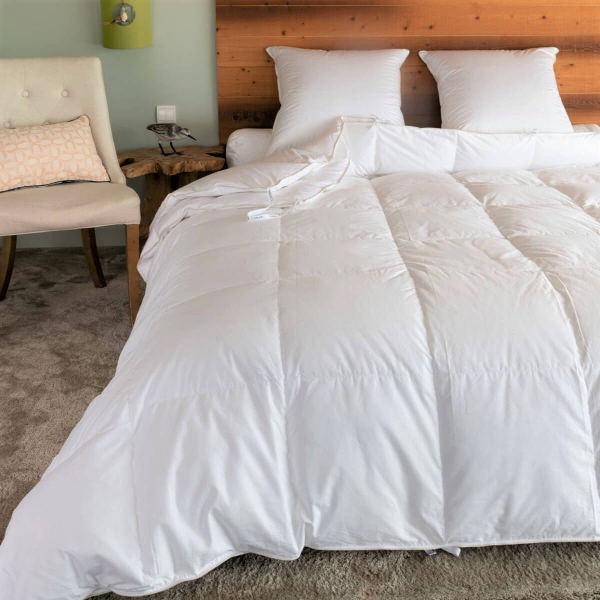 Couette king size 4 SAISONS canard, Taille couette: 280x240 cm