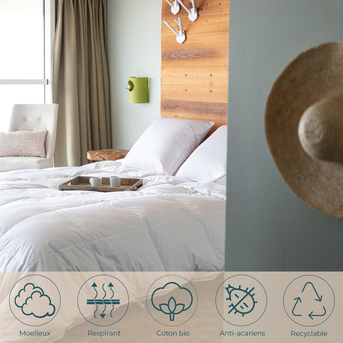 Oreiller MOELLEUX bio et écologique 90% duvet, Dimension: 65x65 cm