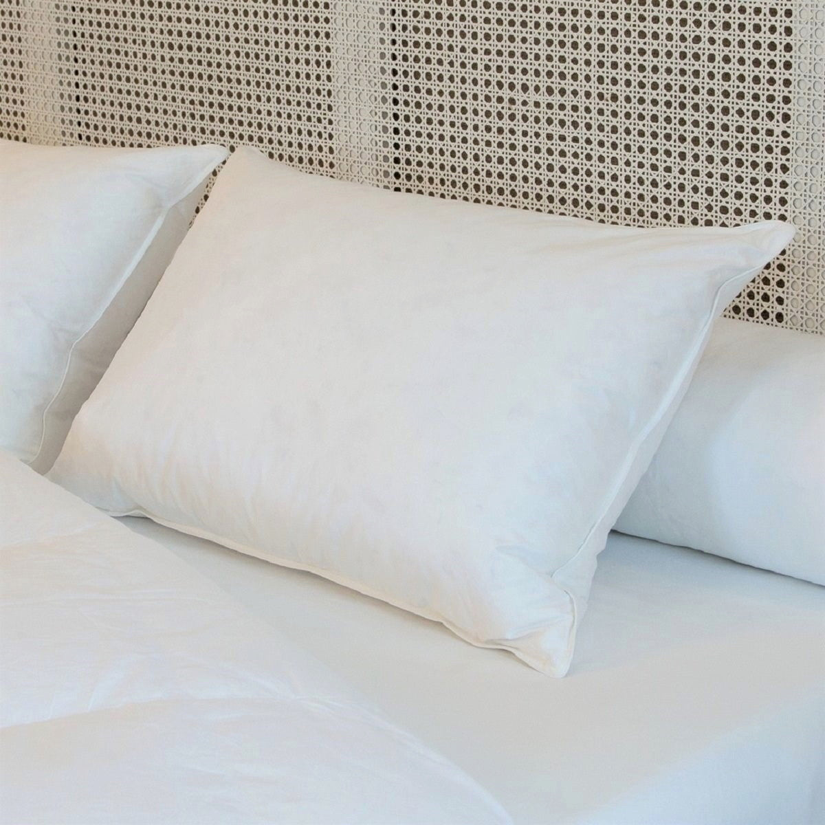 Oreiller MI-FERME 30% de duvet neuf de canard et 70% de plumettes, Dimension: 50x70 cm