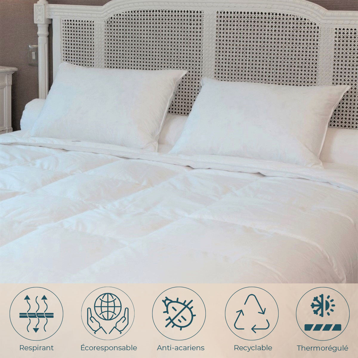 Oreiller MI-FERME 30% de duvet neuf de canard et 70% de plumettes, Dimension: 50x70 cm