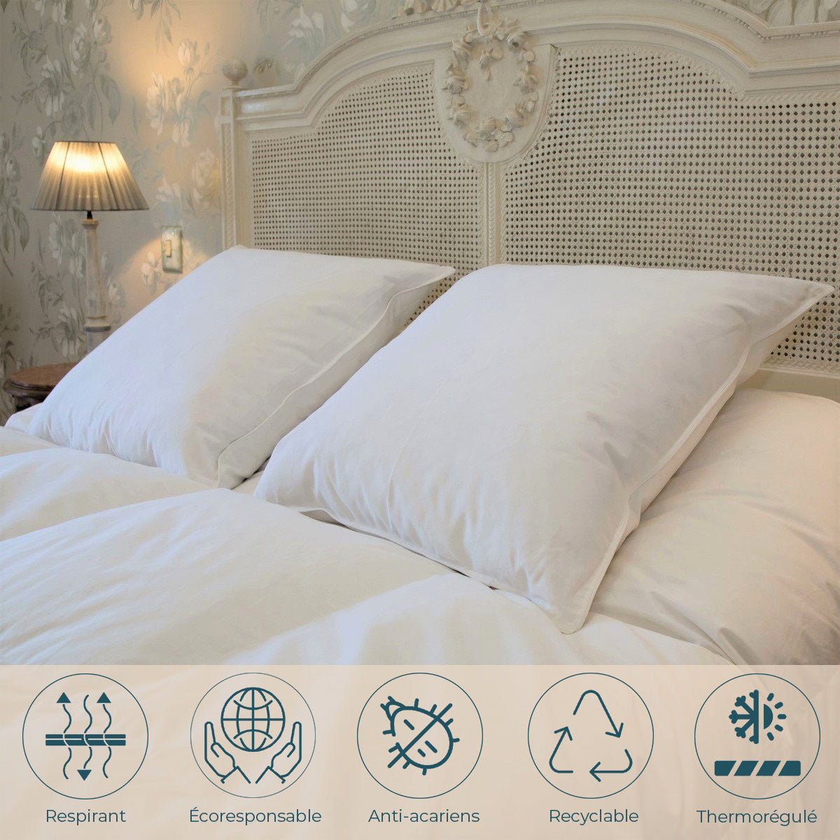 Oreiller MI-FERME 30% de duvet neuf de canard et 70% de plumettes, Dimension: 65x65 cm