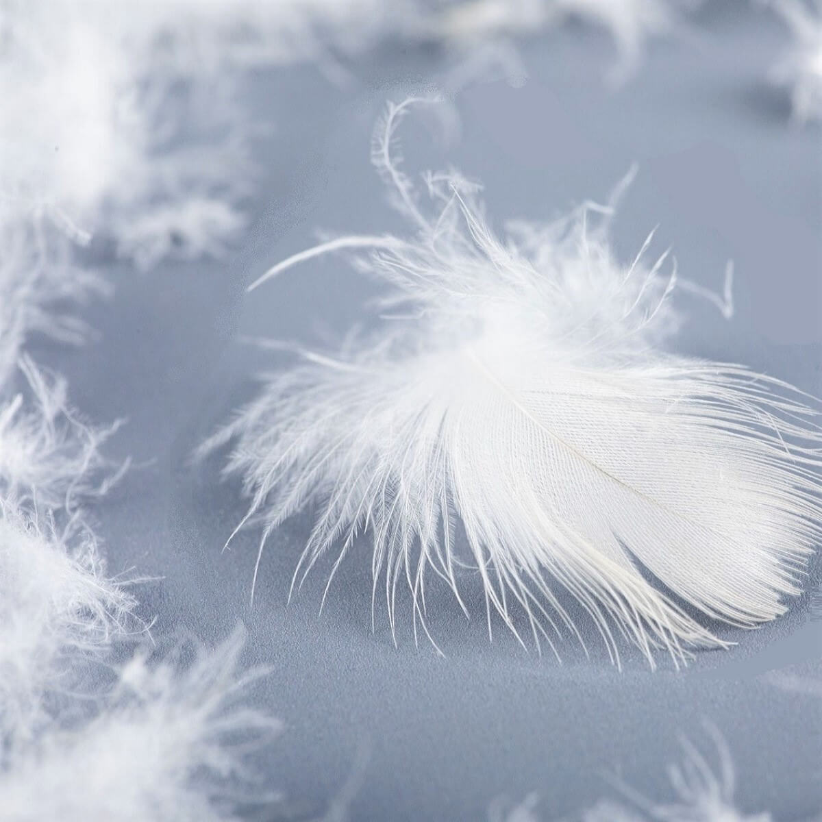 Traversin 200 cm - MI-FERME - 30% de duvet neuf de canard et 70% de plumettes